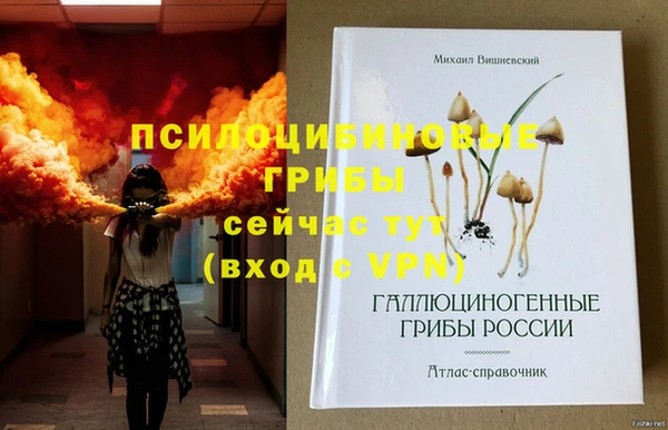 молекула духа Алексеевка