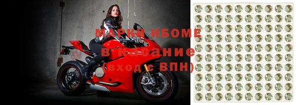 крисы Алзамай