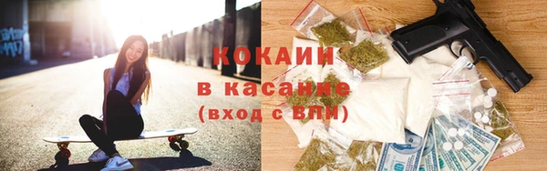 молекула духа Алексеевка