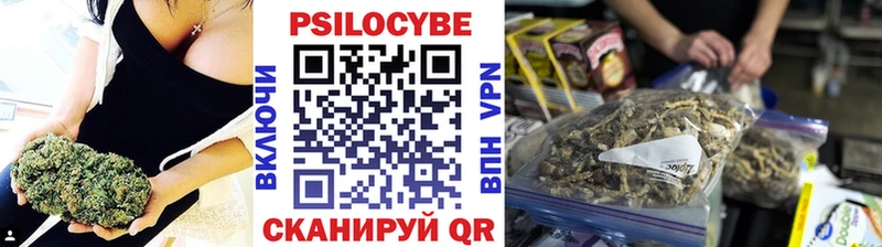 darknet Telegram  магазин продажи   Клинцы  Галлюциногенные грибы MAGIC MUSHROOMS 