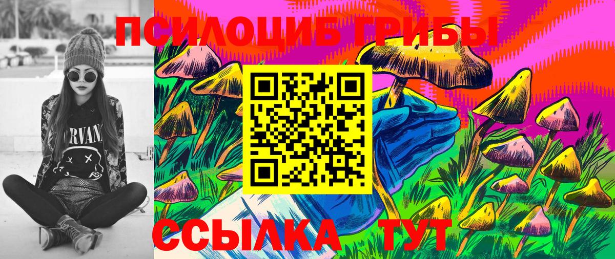 Клинцы  Псилоцибиновые грибы мицелий  закладка  Вход с VPN  Псилоцибиновые грибы ЛСД 
